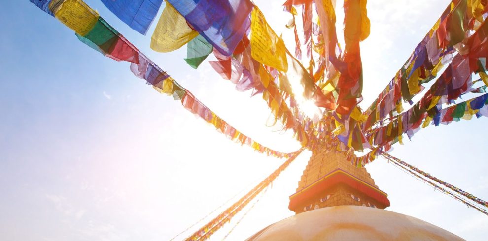 xr:d:DAFj0NOMwhM:15,j:47815913731,t:23052409